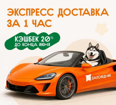 Баннер экспресс-доставки