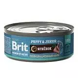 Консервы для щенков всех пород Brit Premium by Nature ягненок 100 г