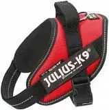 Шлейка для собак Julius-K9 IDC®-Powerharness Mini (49-67 см, 7-15 кг) красный