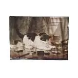 Матрас для кошек Генриетта Рённер с валерианой 45х32 см