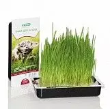 Трава для кошек Титбит для проращивания